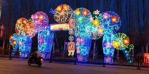 2020邳州沙沟湖公园迎春灯会